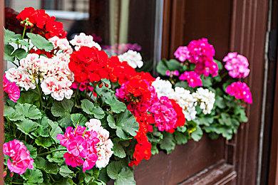 Epic喜加一：《空中骑士从不屈服》免费领取